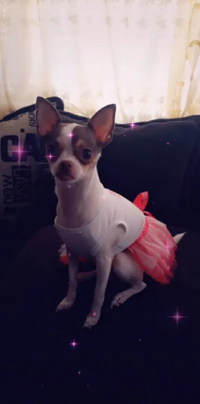 Photo 2 · Luna