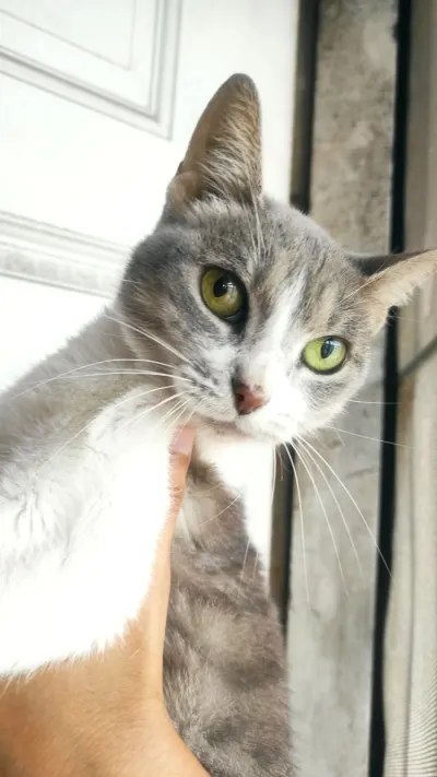 Photo 2 · Mishi