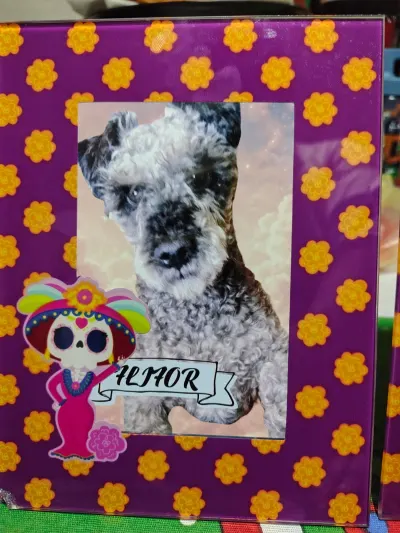 Foto de Flifor, perro, en su ofrenda de Día de Muertos