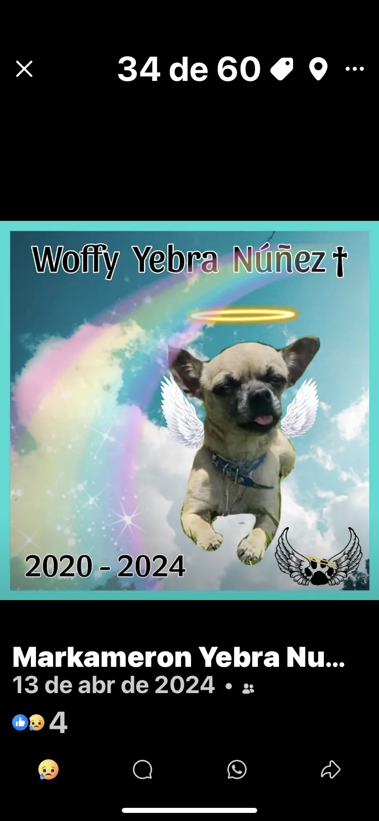 Foto de Woffy Yebra Núñez, perro, en su ofrenda de Día de Muertos